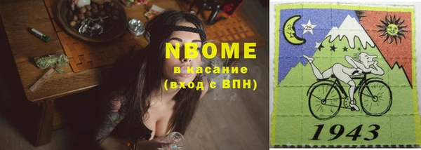 индика Алексеевка