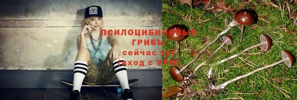 гидропоника Алзамай