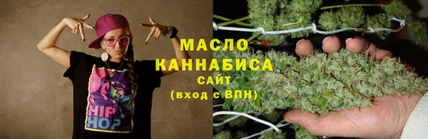 гидропоника Алзамай